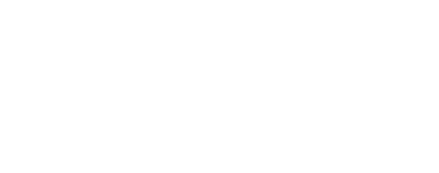 /Files/Images/AVN-logo/AVN_Group_hvid_RGB_2020.png