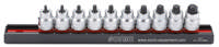 10pc 3/8'' Star low socket bit set on rail