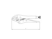 SNF_870C50A60D64F2AA06385B9C210F8B