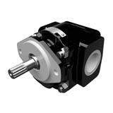 Cast Iron Pumps – PGP620 Series