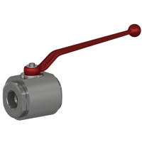 EO 2-way BSPP ball valve