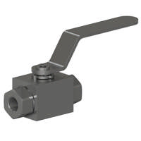 EO 2-way NPT ball valve