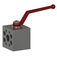 SAE Flange Block Ball Valve 3000 PSI  1/2