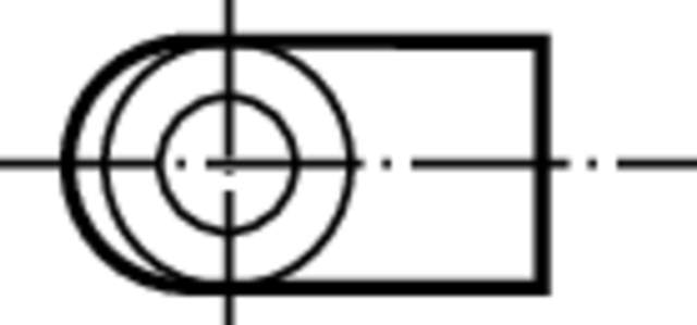 FK313