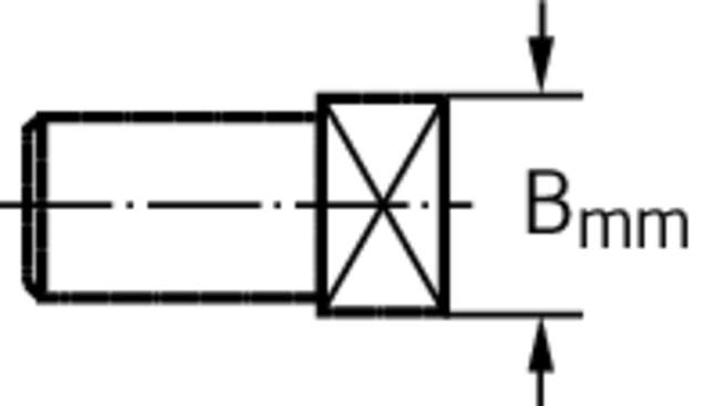 FS558
