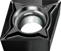 CCGT060201-FN2 WNN10