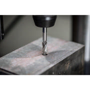 PF_NS2_3C6ECB820B54BA9ADDD64A84377B4C